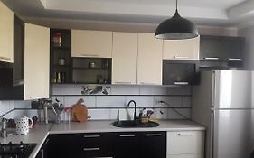 Відрада